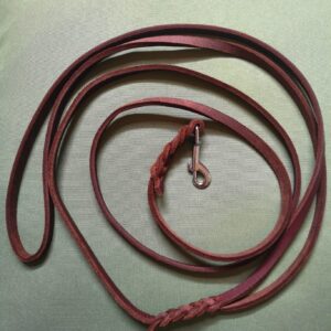 Umhängeleine ohne Halsband